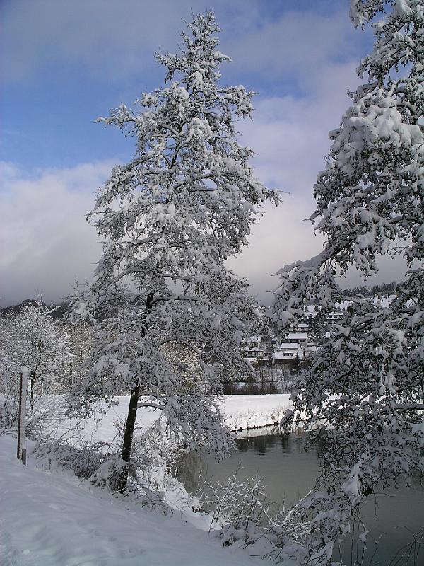 Winter 16.jpg